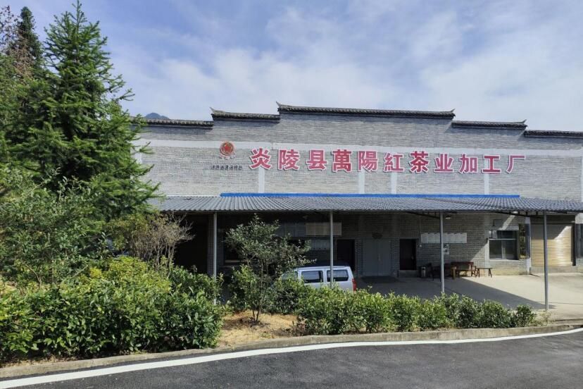 yL23411永利集团官网登录