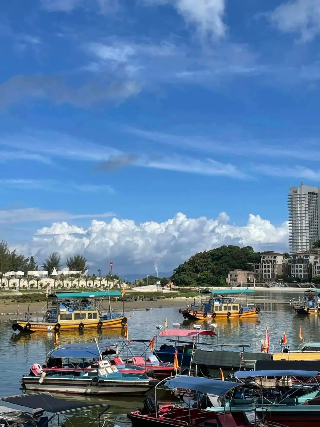 yL23411永利集团官网登录