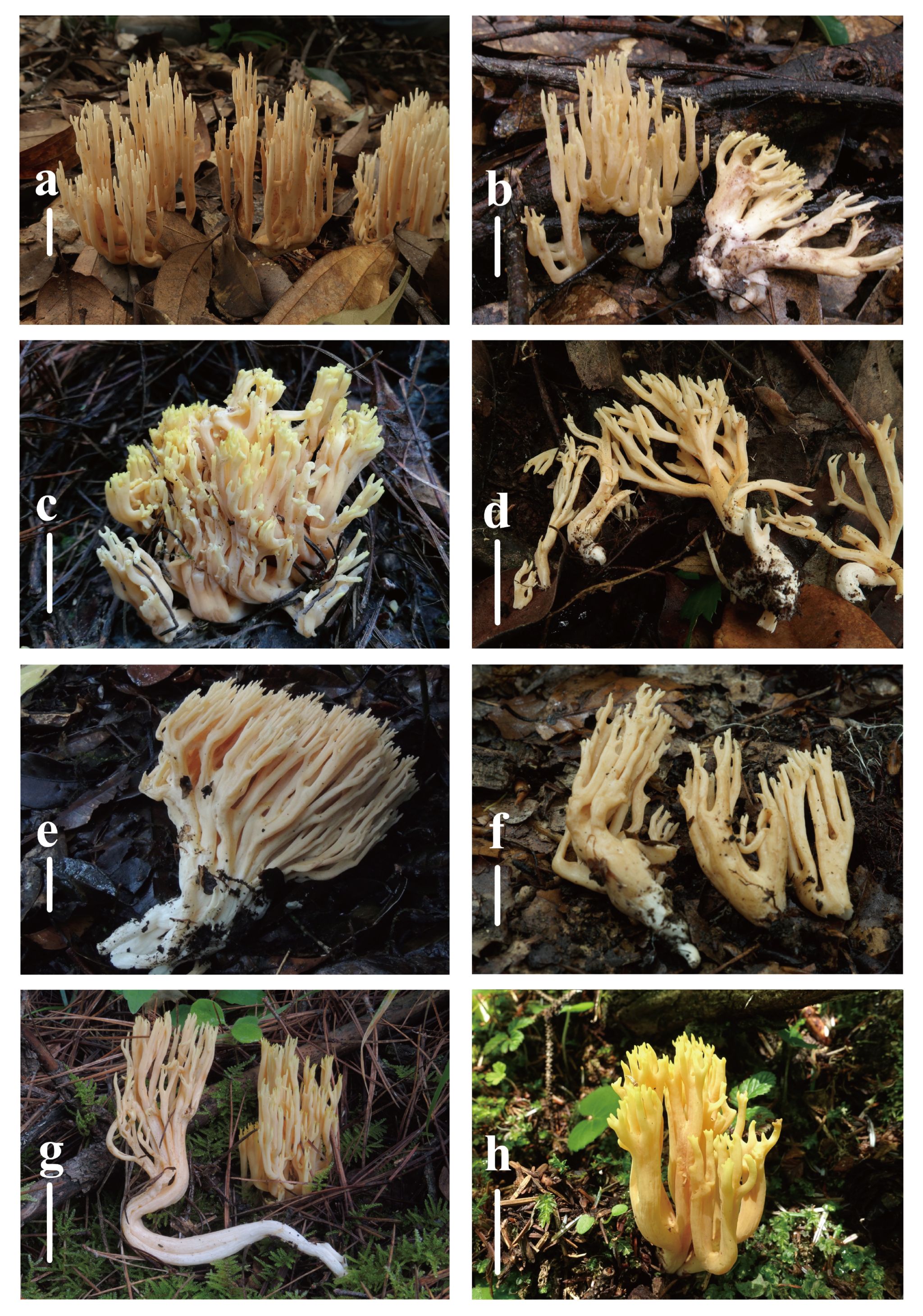 yL23411永利集团官网登录