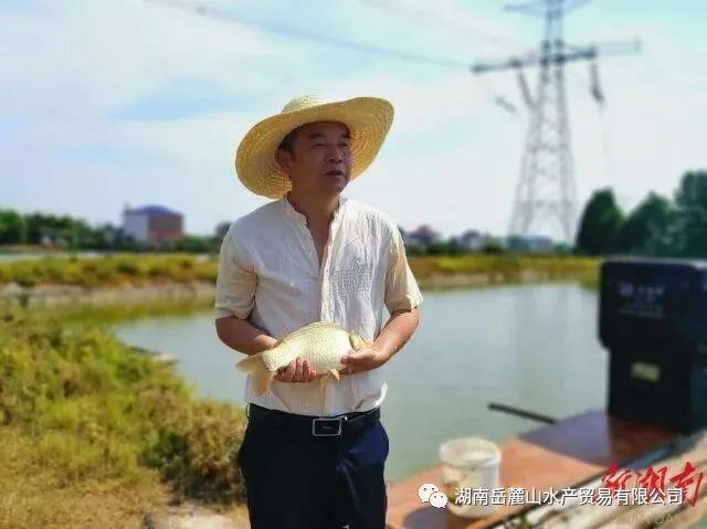 yL23411永利集团官网登录